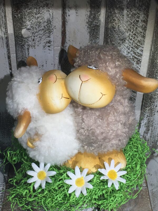 Couple Moutons Amoureux